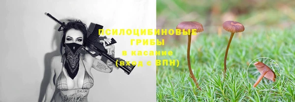 мескалин Абинск