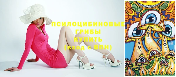 ECSTASY Абаза