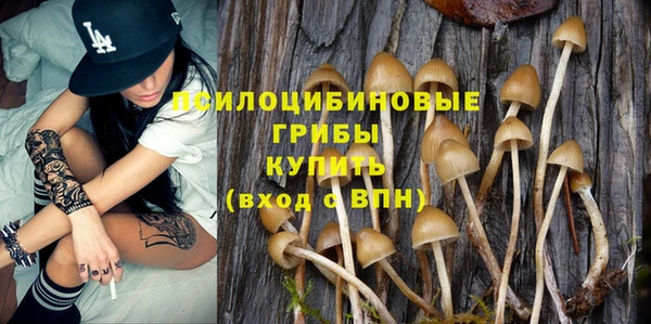 соль ск Алексеевка