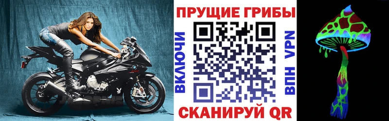 Псилоцибиновые грибы Cubensis  Разумное 